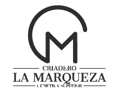 Criadero